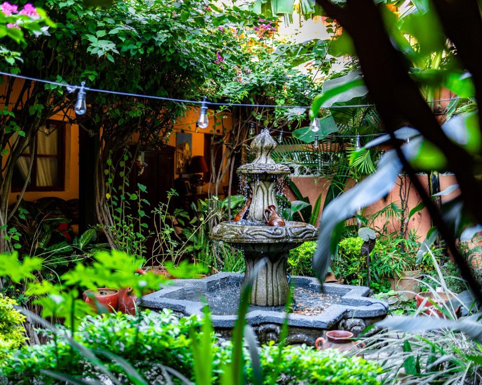 Hostal Fuente Castalia, B Y B León Εξωτερικό φωτογραφία